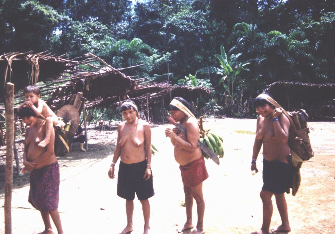 The Yanomami: Amazonian Warriors of Venezuela and Brazil (Image Credits: Wikimedia)