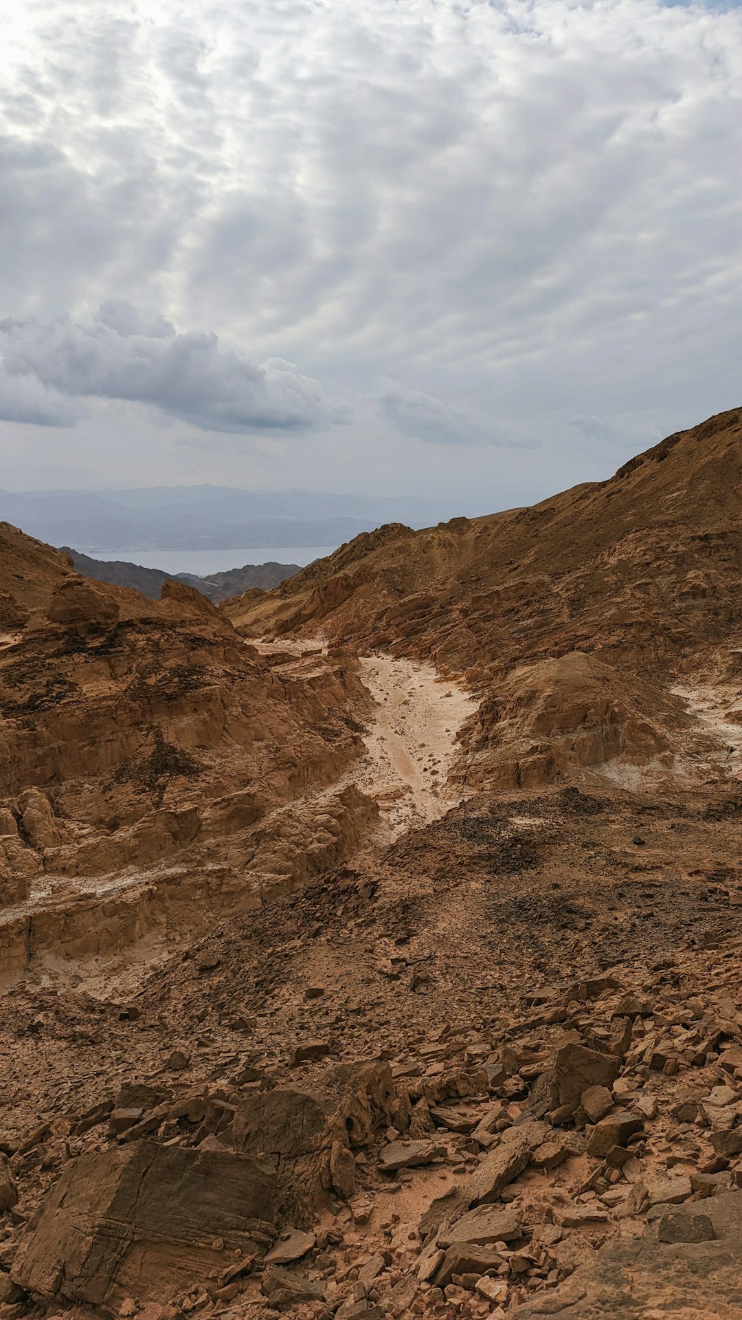 Global Perspectives (Image Credits: Unsplash)