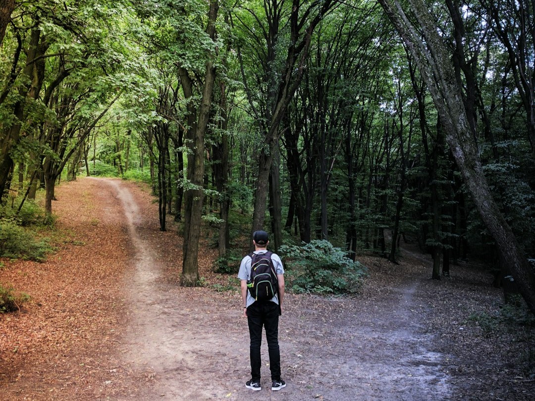 Why It Matters (Image Credits: Unsplash)