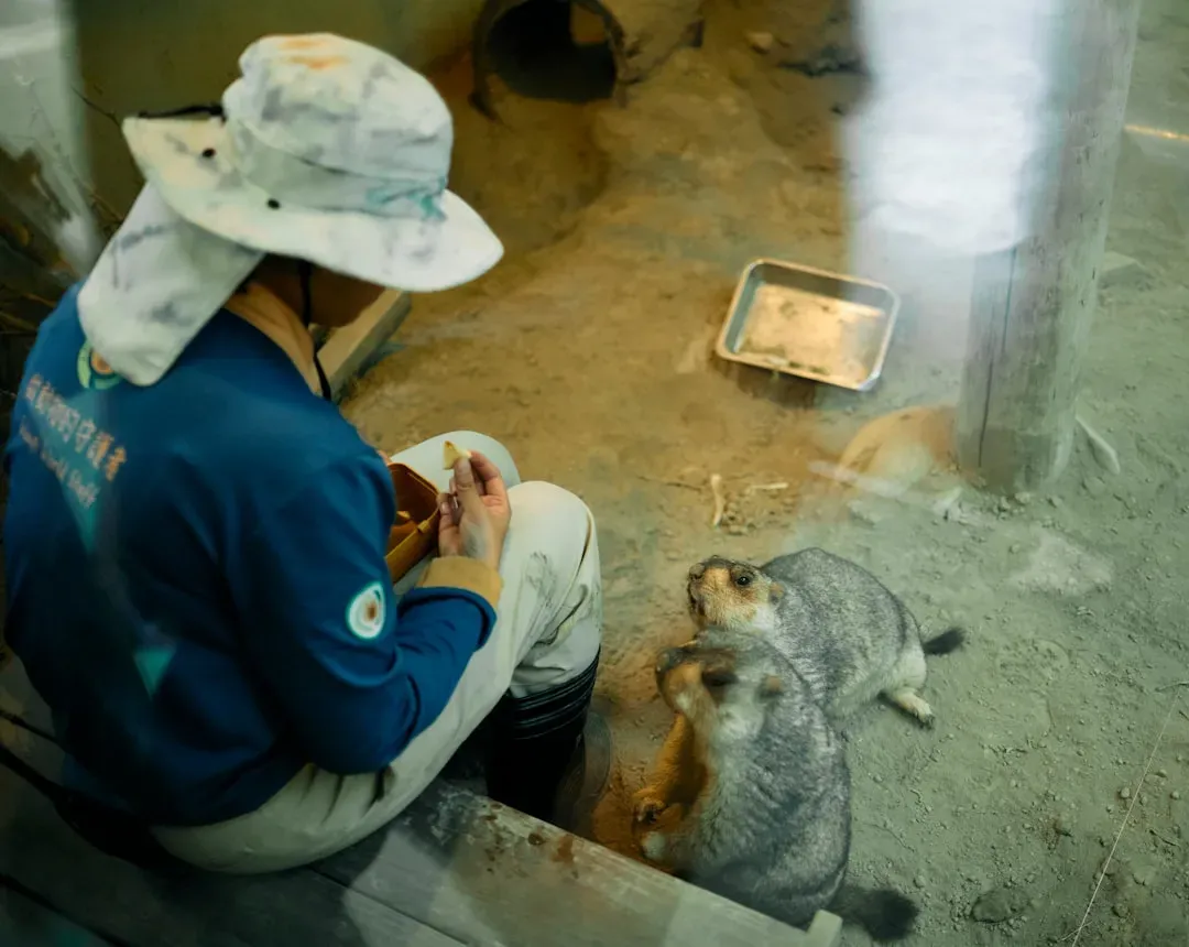 #4 - The People Who Care for Lab and Zoo Animals Grieve Too, and Almost Nobody Studies It (Image Credits: Unsplash)