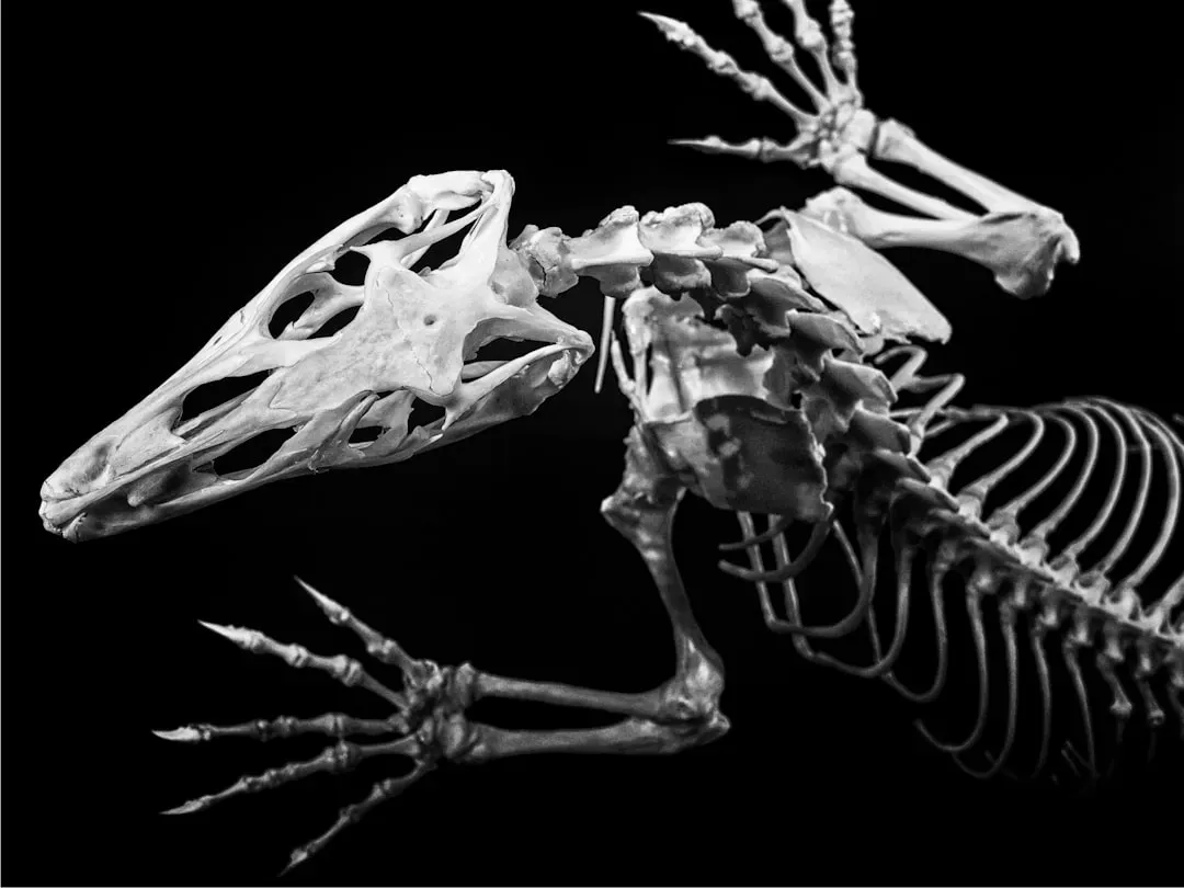 The Uncomfortable Truth About Our Favorite Fossils (Image Credits: Unsplash)