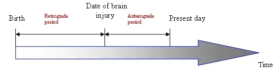 The Mechanics of Forgetting: How Memories Fall Apart (Image Credits: Wikimedia)