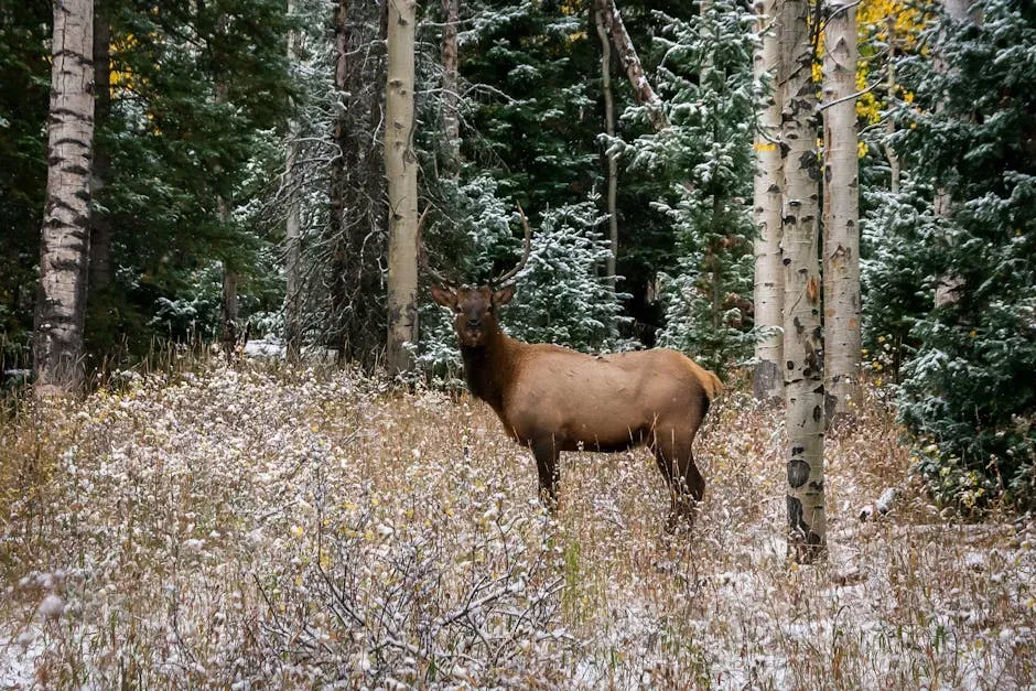 Deep Connection to Nature and the Wild Self (Image Credits: Pexels)