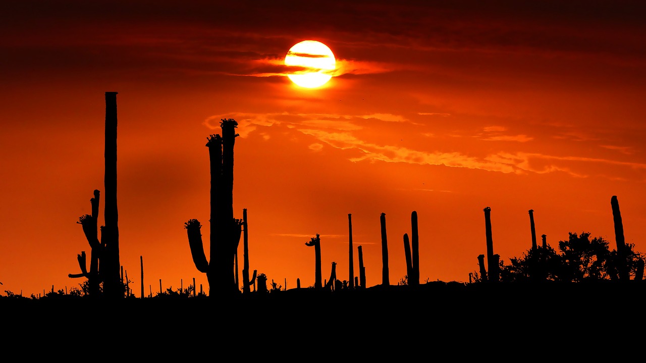 Cancer: Desert Emotional Retreats (Image Credits: Pixabay)