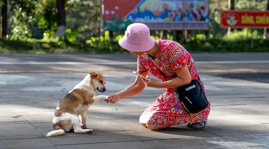 Dogs and Humans Process Time and Absence Very Differently (Image Credits: Pexels)