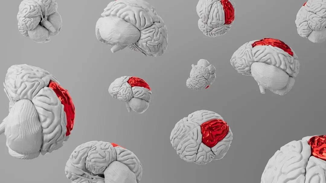 4. The Brain Has Five Distinct Life Stages, Not One Continuous Decline (Image Credits: Unsplash)