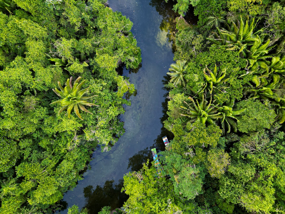 Global Perspectives (Image Credits: Unsplash)