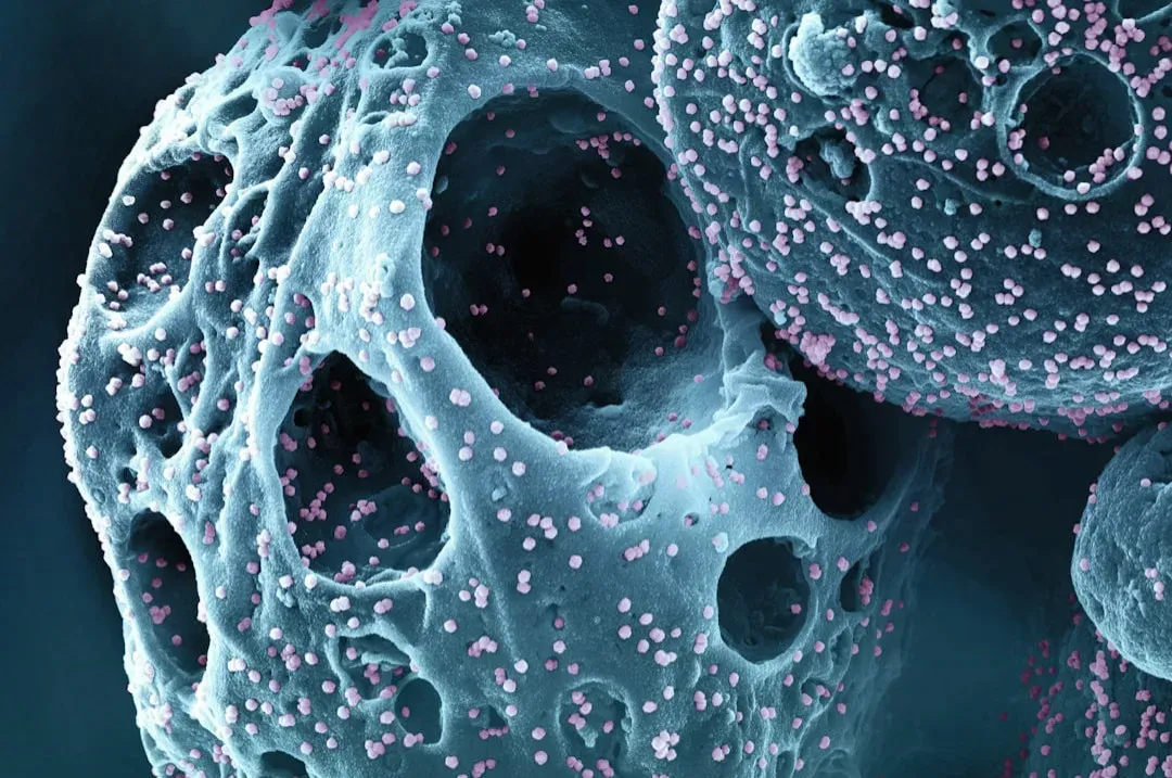 3. Regenerative Medicine and Lab‑Grown Organs (Image Credits: Unsplash)