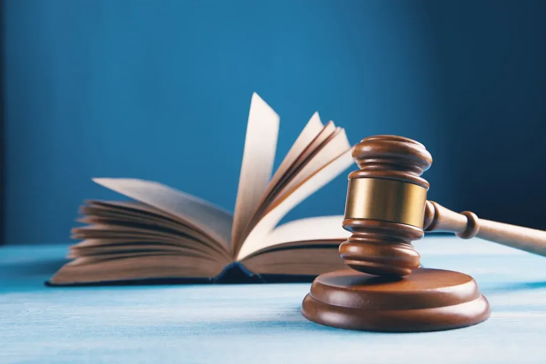 #5 - The Succession Ordinance That Never Gets Signed (Image Credits: Unsplash)