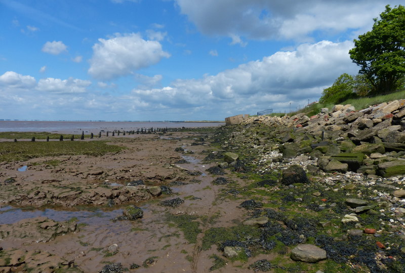 Fieldcraft and Safety in a Vanishing Shoreline (Image Credits: Wikimedia)