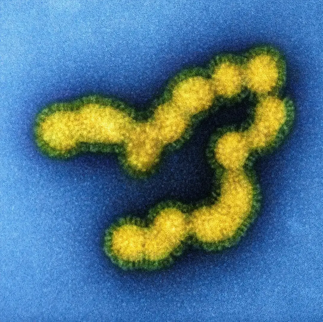 The Hidden Clues Written Into Our Cells (Image Credits: Unsplash)