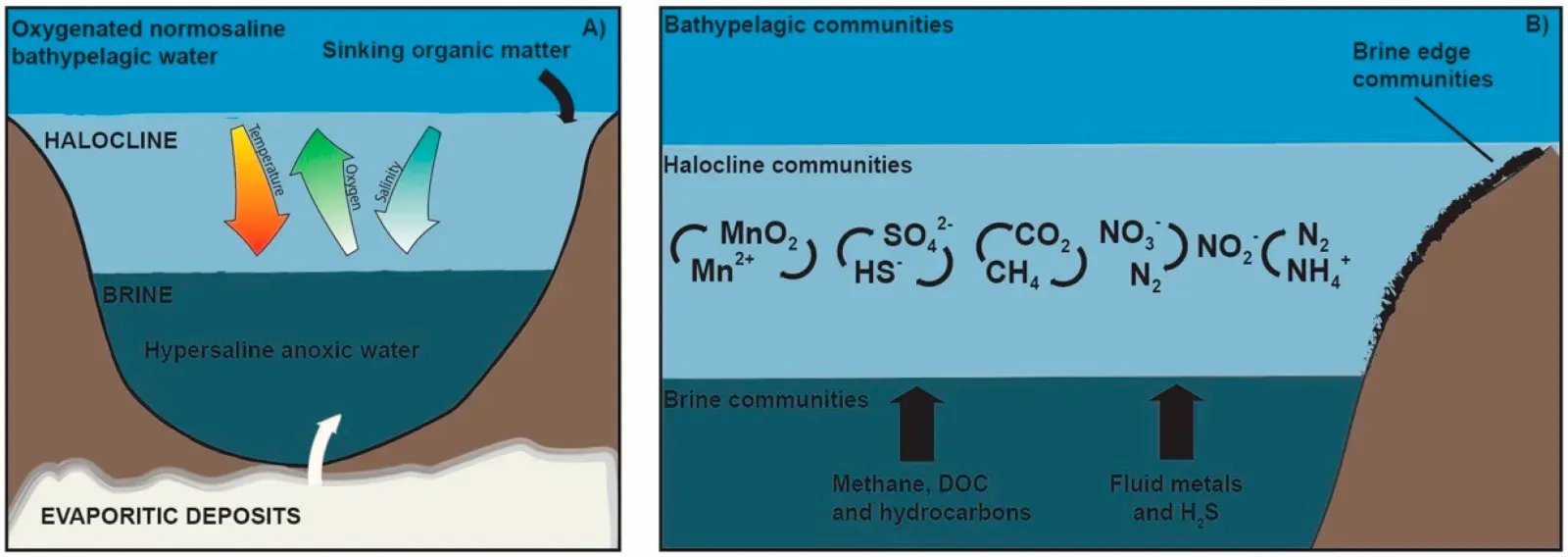 Dark Oxygen: A Discovery That Could Change Everything (Image Credits: Wikimedia)