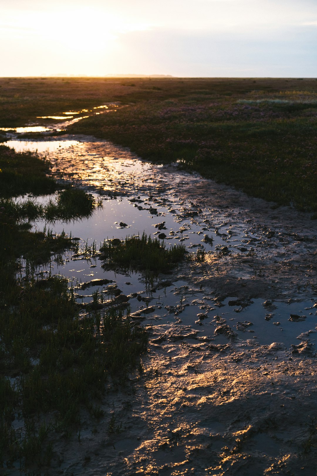 Blackwater National Wildlife Refuge (Maryland, Chesapeake Bay) (Image Credits: Unsplash)