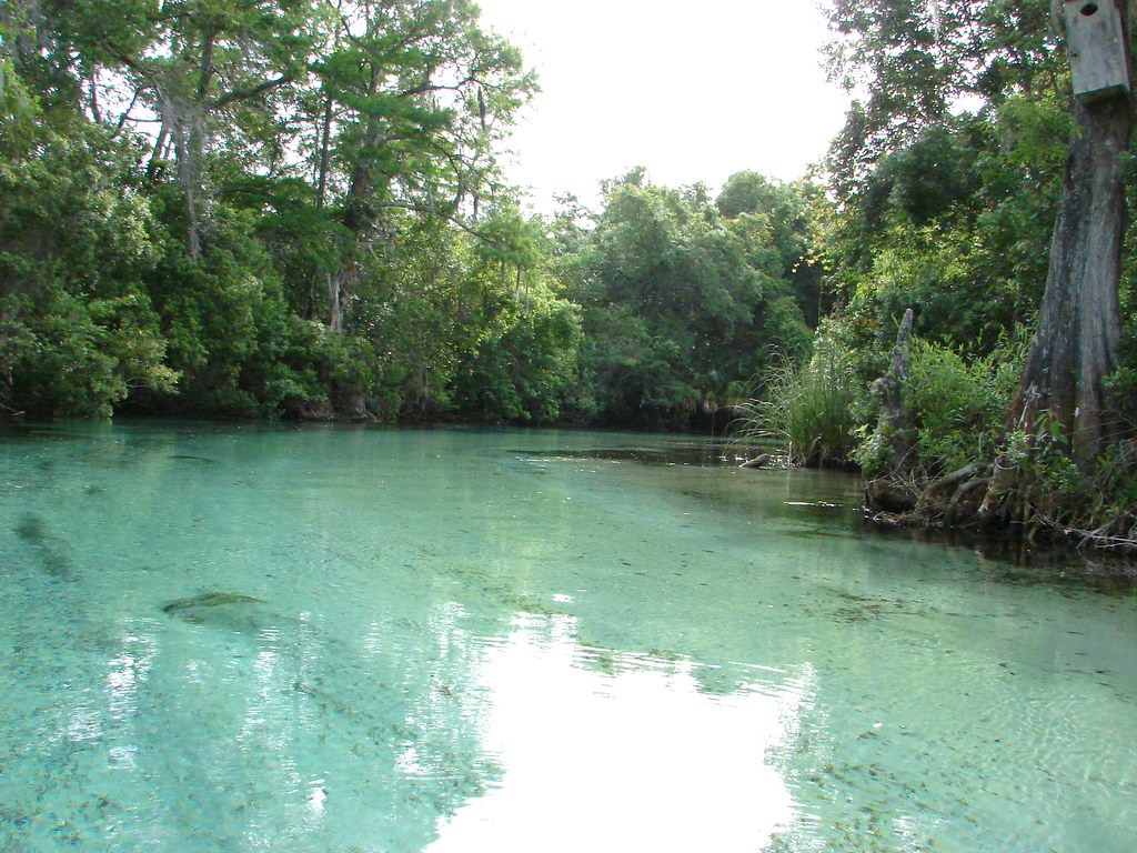 Weeki Wachee Springs State Park (Image Credits: Flickr)