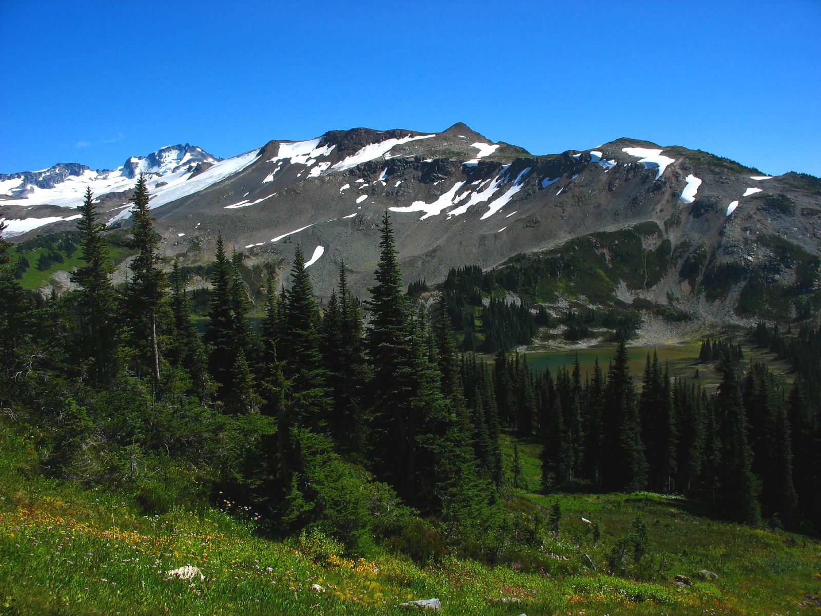 Hidden  - Why These Fields Matter (Image Credits: Wikimedia)