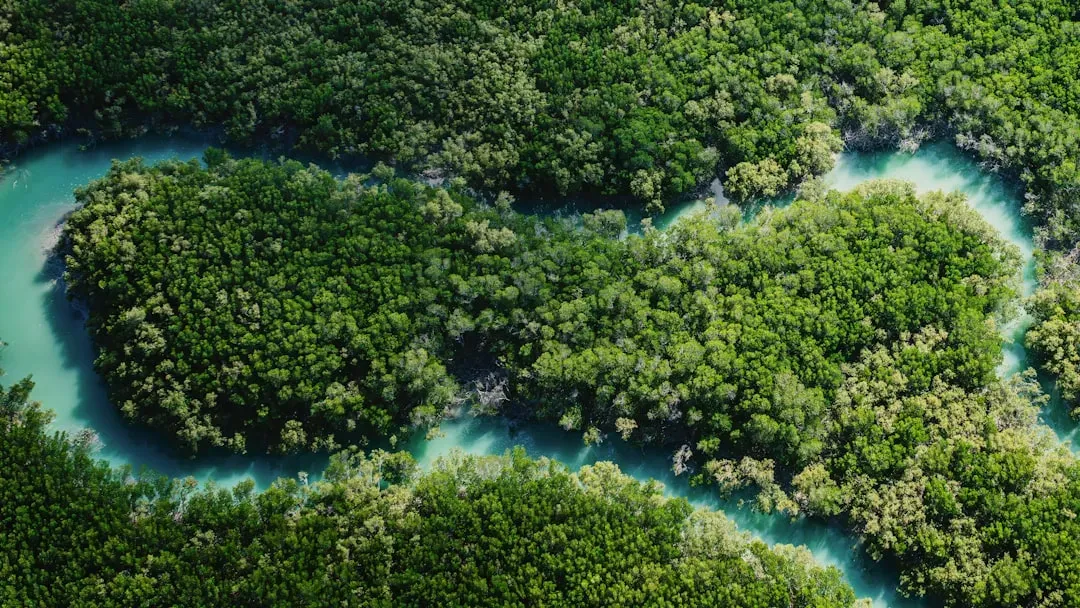 You Lived Through a Planet-Wide Reset of Ecosystems (Image Credits: Unsplash)