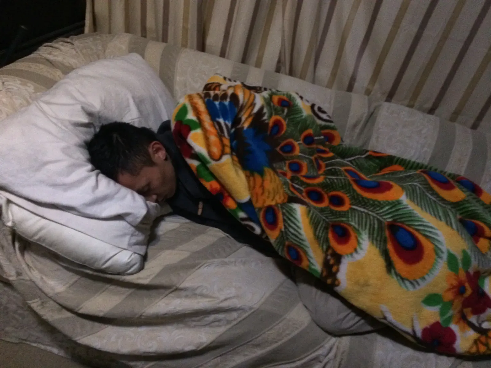 9. Your Hormones Run a Night Shift Schedule (By Panduh562, CC BY-SA 3.0)