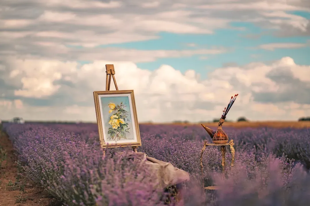 The Connection Between Lucid Dreaming, Creativity, and Performance (Image Credits: Unsplash)