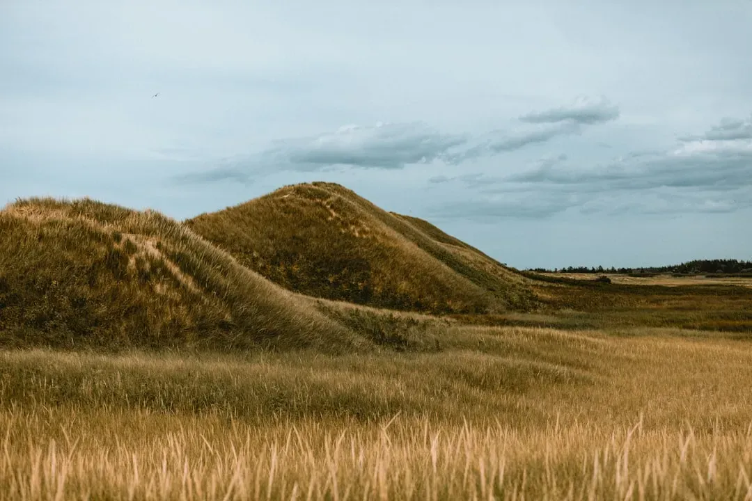 Everyday Life Around the Mounds (Image Credits: Unsplash)