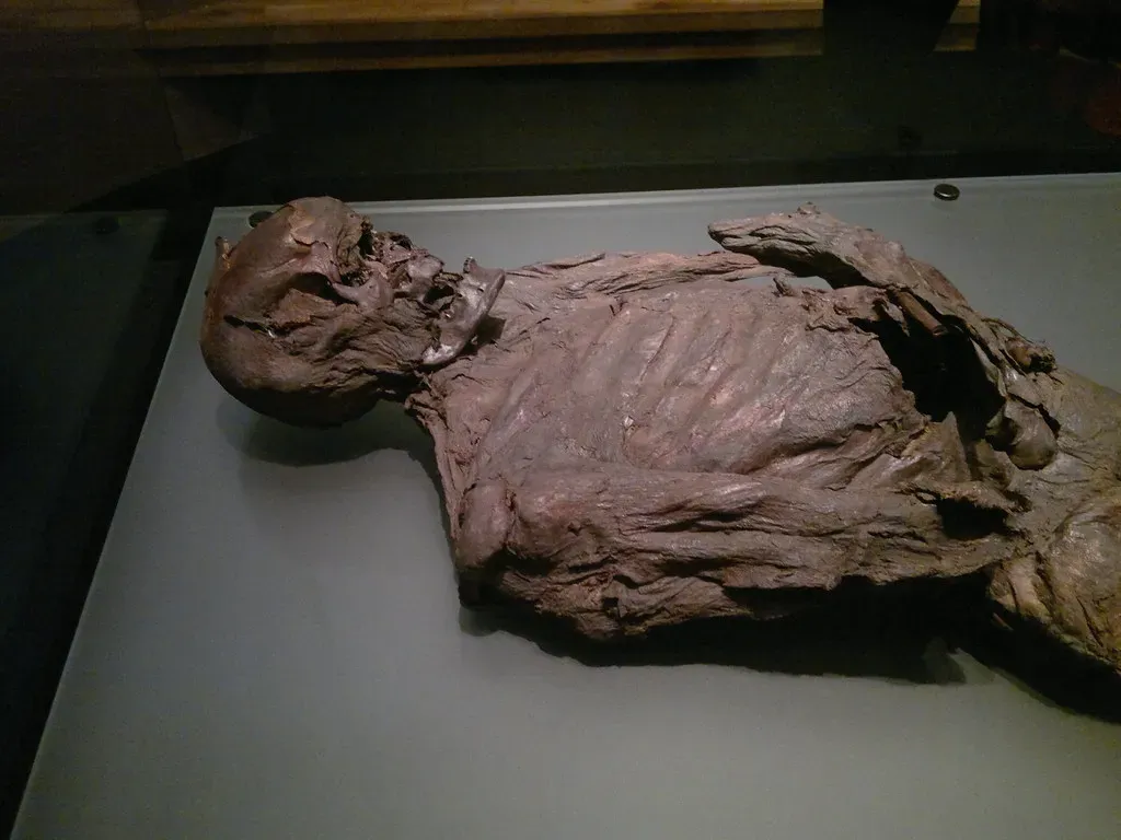 #3 - Bogs Turn Bodies Into 2,000-Year-Old Time Capsules (markhealey, Flickr, CC BY-SA 2.0)