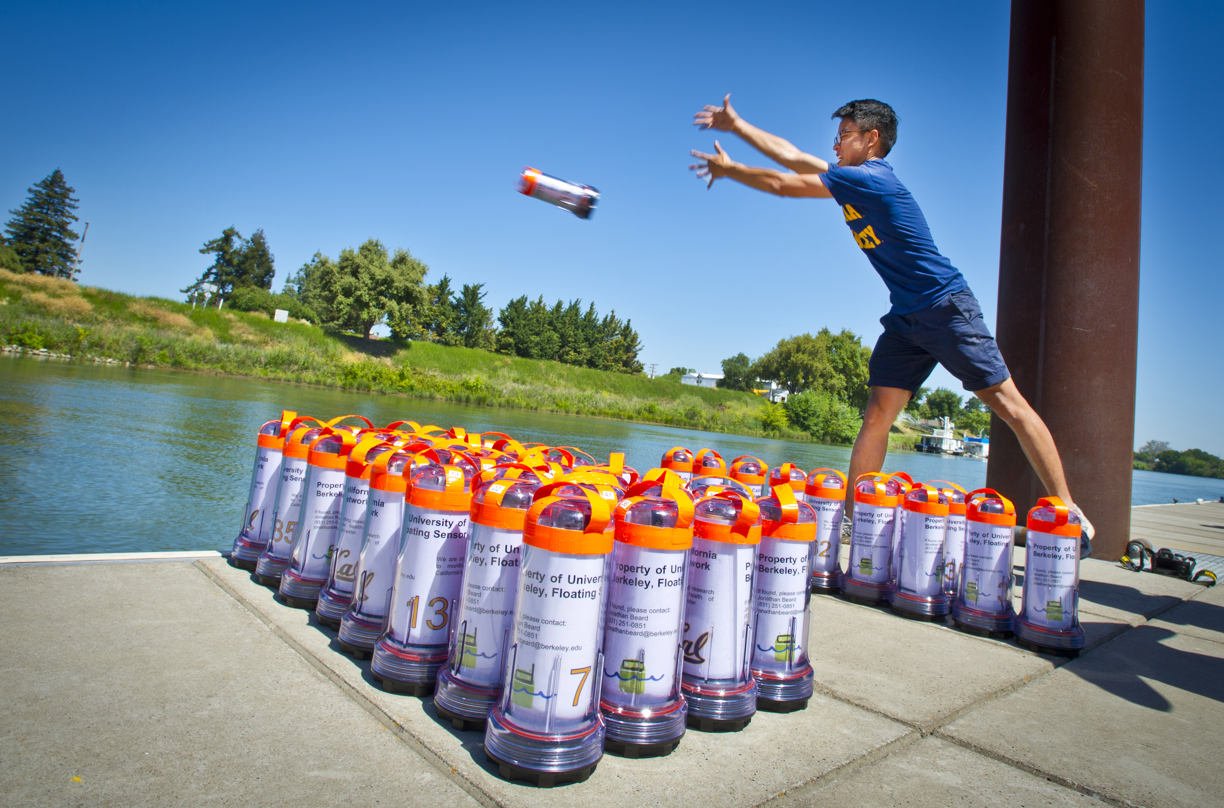 The Future Landscape (Image Credits: Wikimedia)