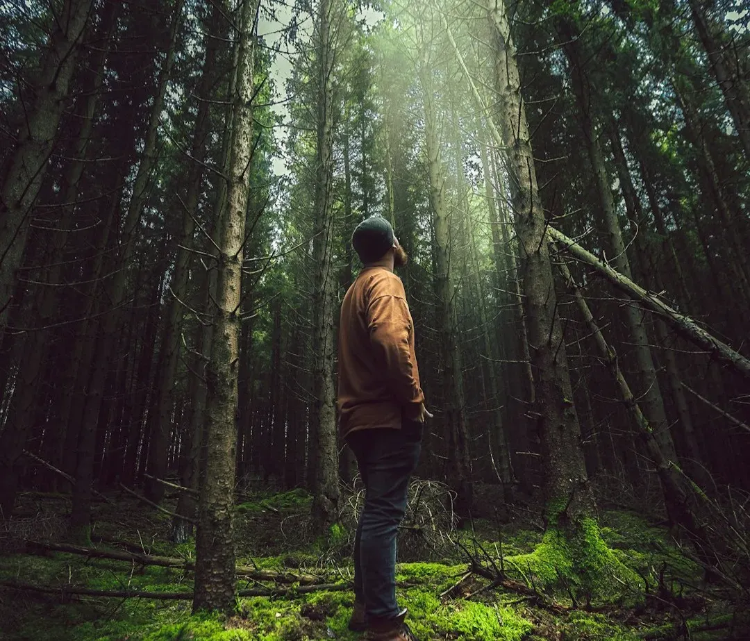 The Human Brain Evolved for Forests and Villages, Not Galaxies (Image Credits: Unsplash)