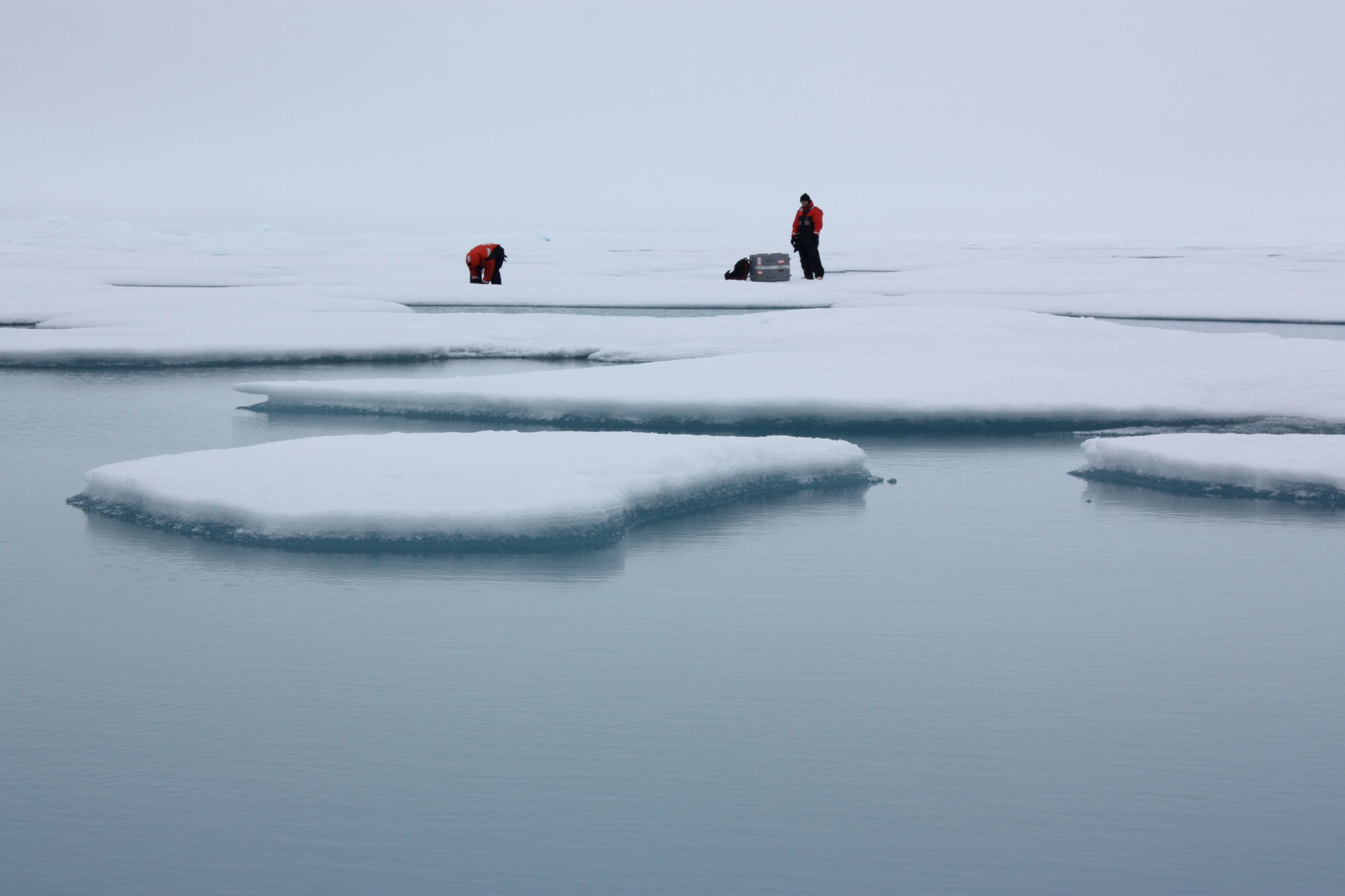The Nitrogen Revolution Beneath Arctic Ice (Image Credits: Wikimedia)