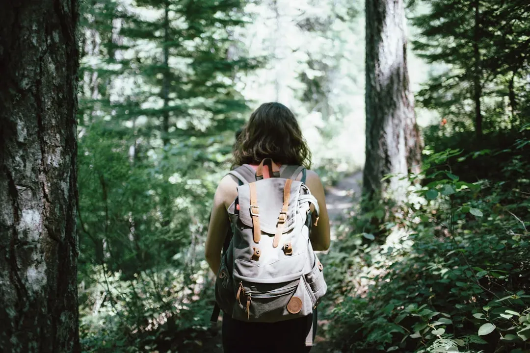 Attention restoration: why your brain feels clearer outdoors (Image Credits: Unsplash)