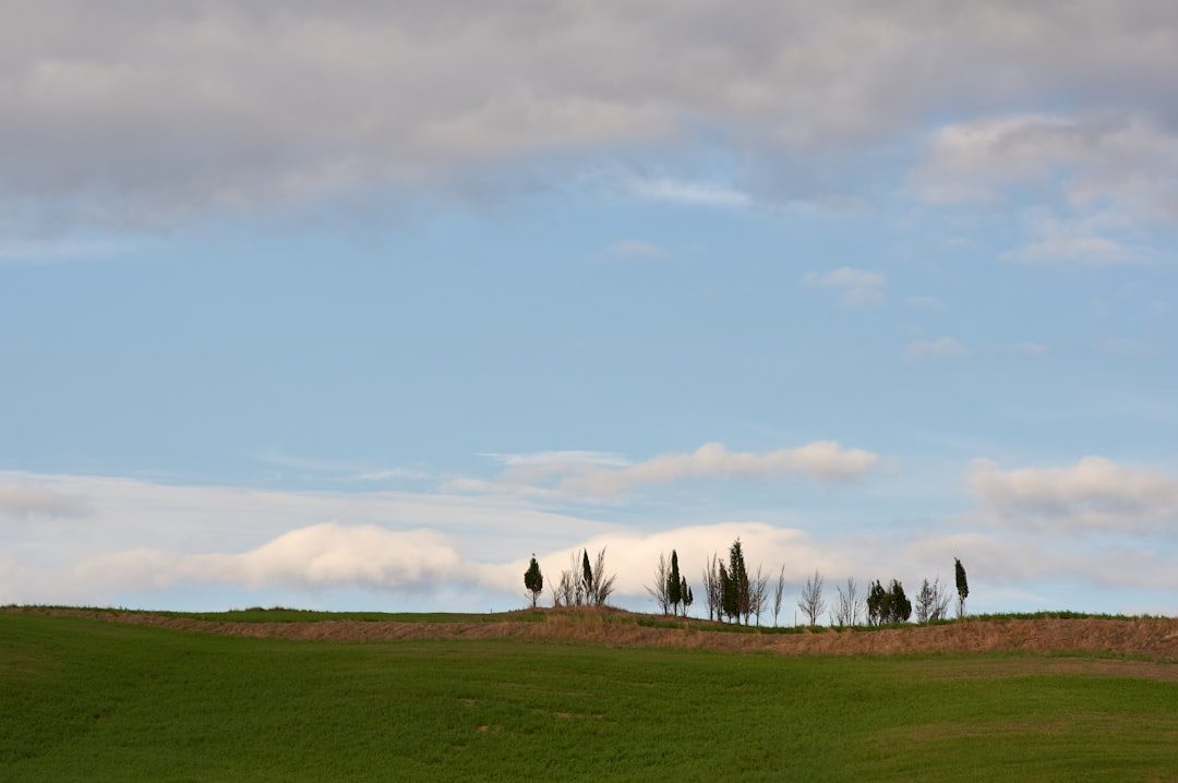 The Hidden Clues: Syilx Territory Is a Seam of Biodiversity, Not Just Wine Country (Image Credits: Unsplash)