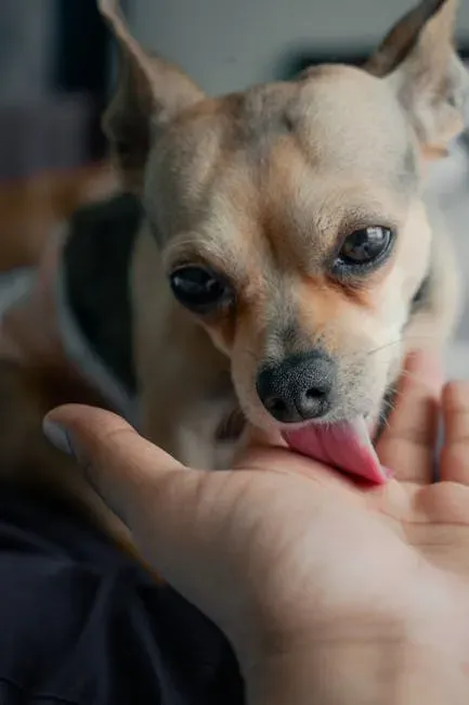 7. Offering Gentle Licks and Nudges Instead of Big Kisses (Image Credits: Pexels)