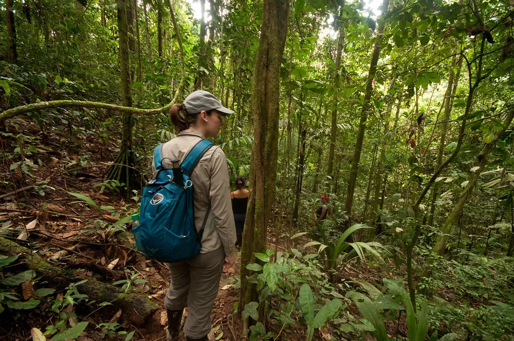 Yasuni Biosphere Reserve Fringe Zones, Ecuador (-MattHewitt-, Flickr, CC BY 2.0)