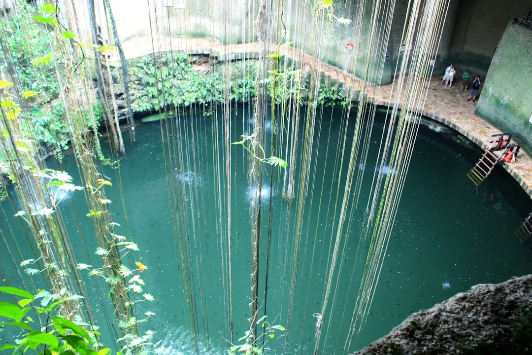 Where Does All the Water Actually Hide? (Image Credits: Unsplash)