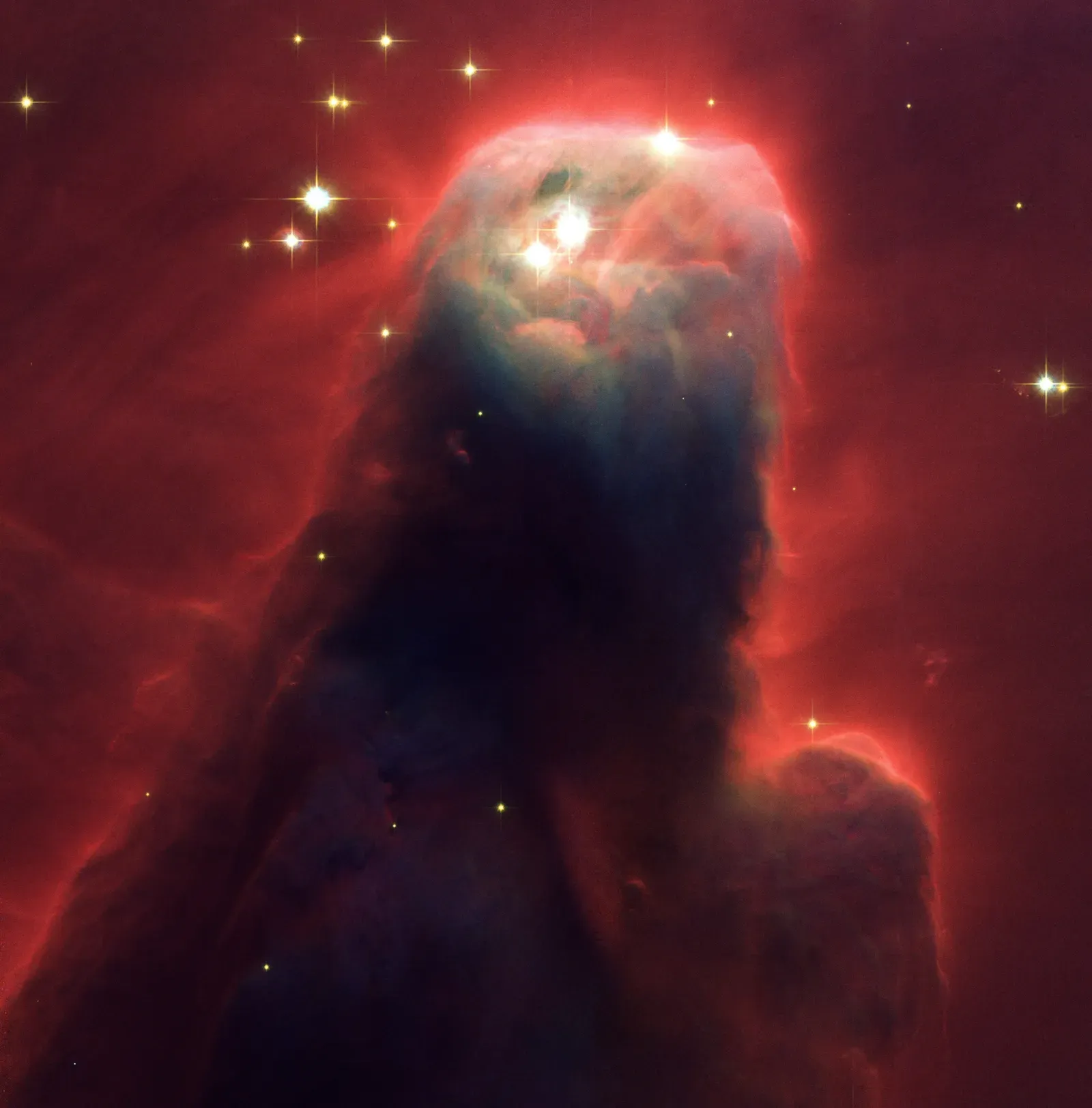 If Consciousness Needs a Brain, the Universe Was Mostly a Silent Movie (By NASA, H. Ford (JHU), G. Illingworth (UCSC/LO), M.Clampin (STScI), G. Hartig (STScI), the ACS Science Team, and ESAThe ACS Science Team: H. Ford, G. Illingworth, M. Clampin, G. Hartig, T. Allen, K. Anderson, F. Bartko, N. Benitez, J. Blakeslee, R. Bouwens, T. Broadhurst, R. Brown, C. Burrows, D. Campbell, E. Cheng, N. Cross, P. Feldman, M. Franx, D. Golimowski, C. Gronwall, R. Kimble, J. Krist, M. Lesser, D. Magee, A. Martel, W. J. McCann, G. Meurer, G. Miley, M. Postman, P. Rosati, M. Sirianni, W. Sparks, P. Sullivan, H. Tran, Z. Tsvetanov, R. White, and R. Woodruff., CC BY 4.0)