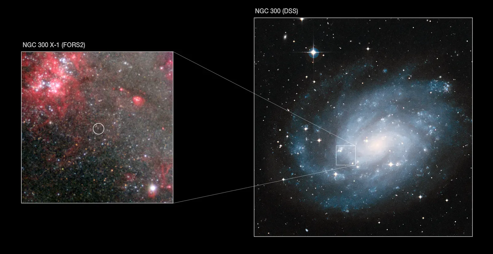 The Invisible Ingredient That Holds Everything Together (NGC 300 X-1 in the spiral galaxy NGC 300 (ESO 1004b), CC BY 4.0)