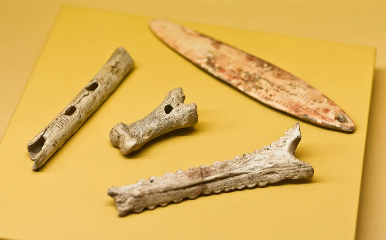 The First Instruments: Bones, Stones, and Simple Genius (By BastienM, CC BY-SA 3.0)