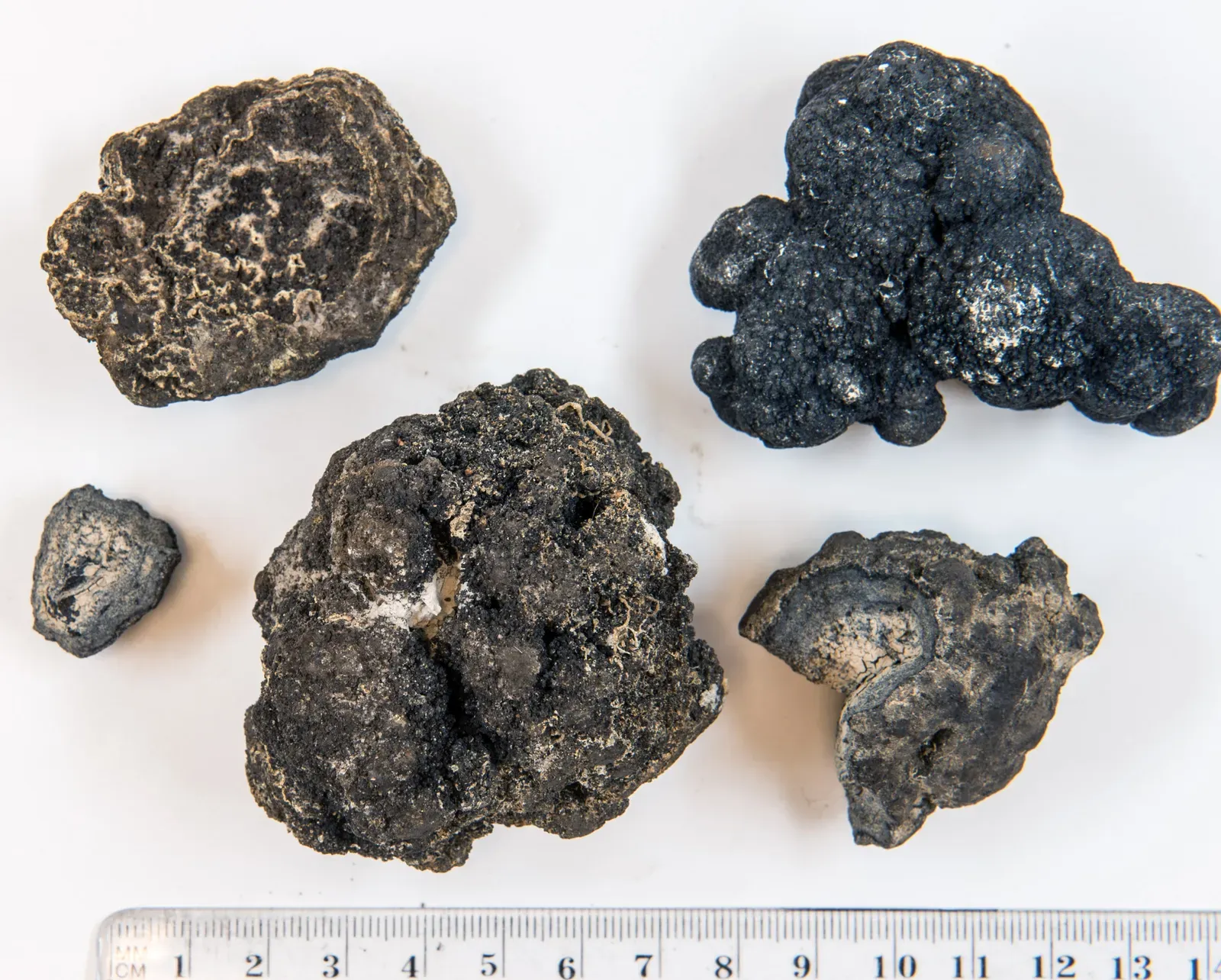 #10 - Rocks That Make Oxygen With No Sunlight at All (By Hannes Grobe/AWI, CC BY-SA 4.0)