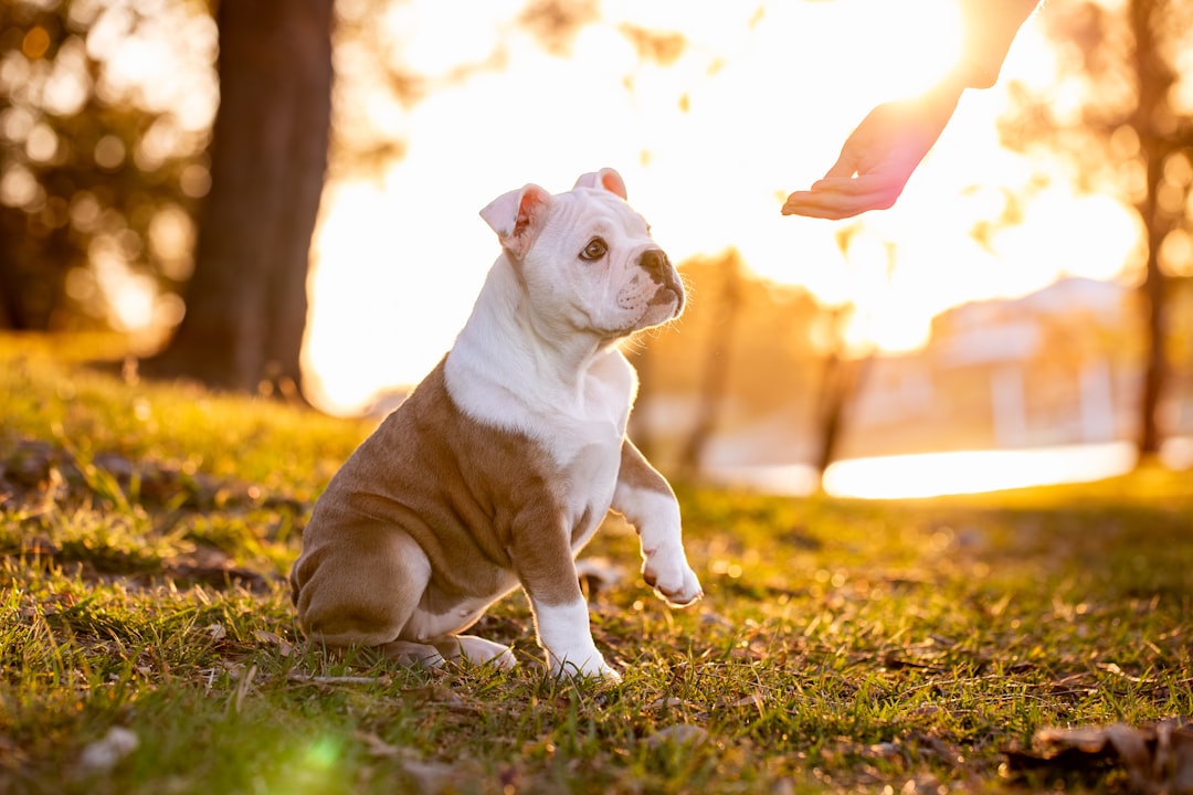 Why It Matters (Image Credits: Unsplash)