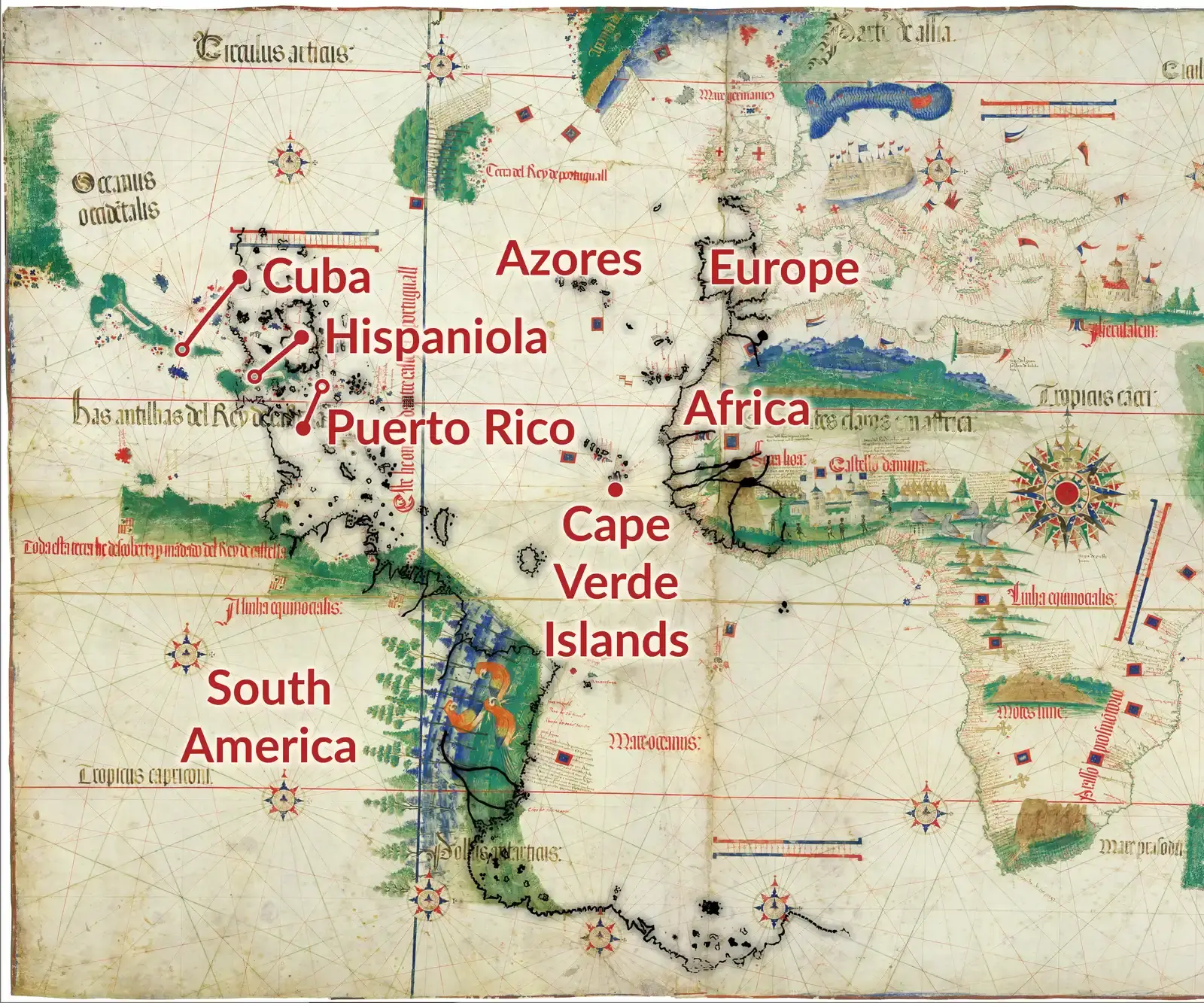 9. The Piri Reis Map: Fragments of Lost Geography (By Robert Jones, CC BY-SA 4.0)
