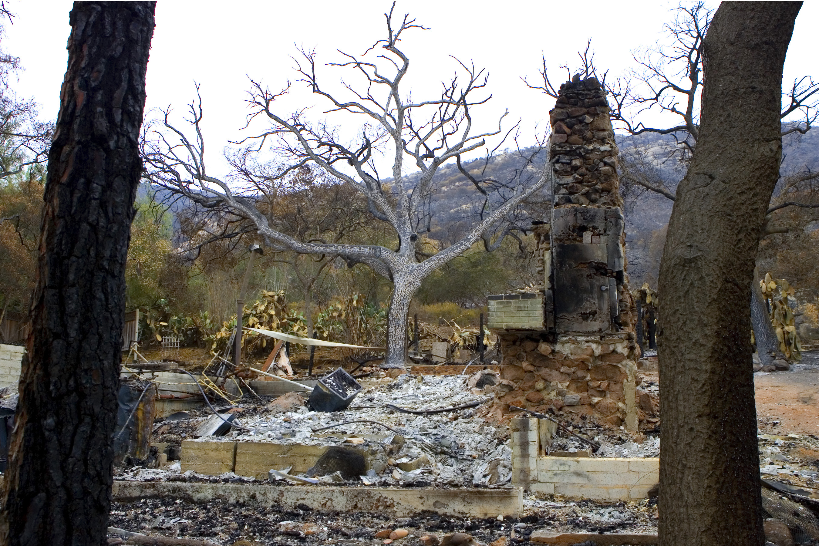 The Fire Reset (Image Credits: Wikimedia)