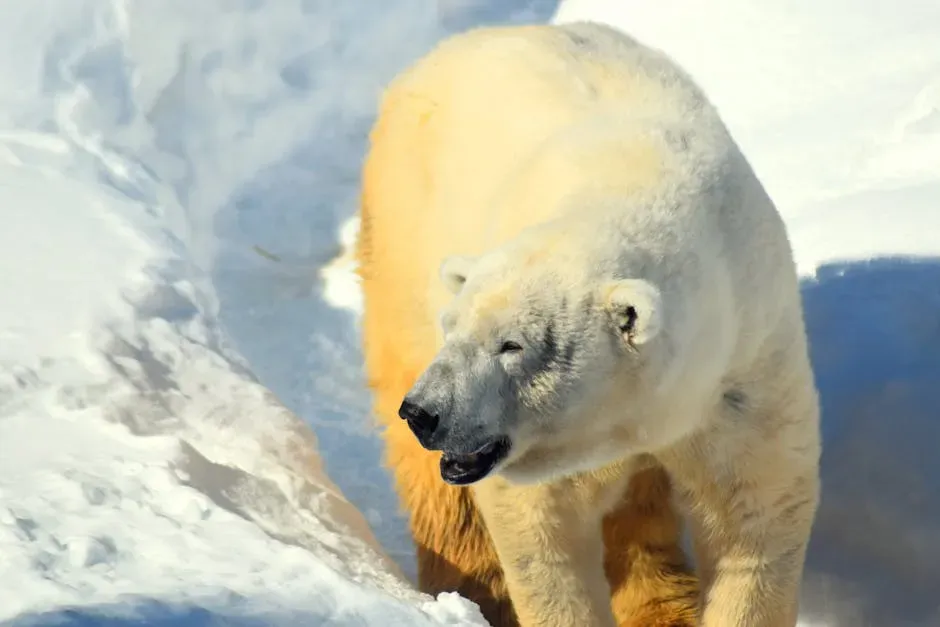 5. Polar Bears: Walking Fortresses of Fat and Fur (Image Credits: Pexels)