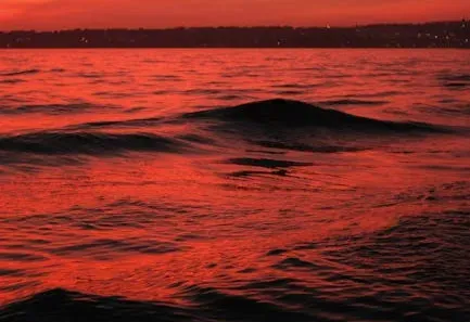 Rusting the Planet: Banded Iron Formations and Red Oceans (Image Credits: Pexels)