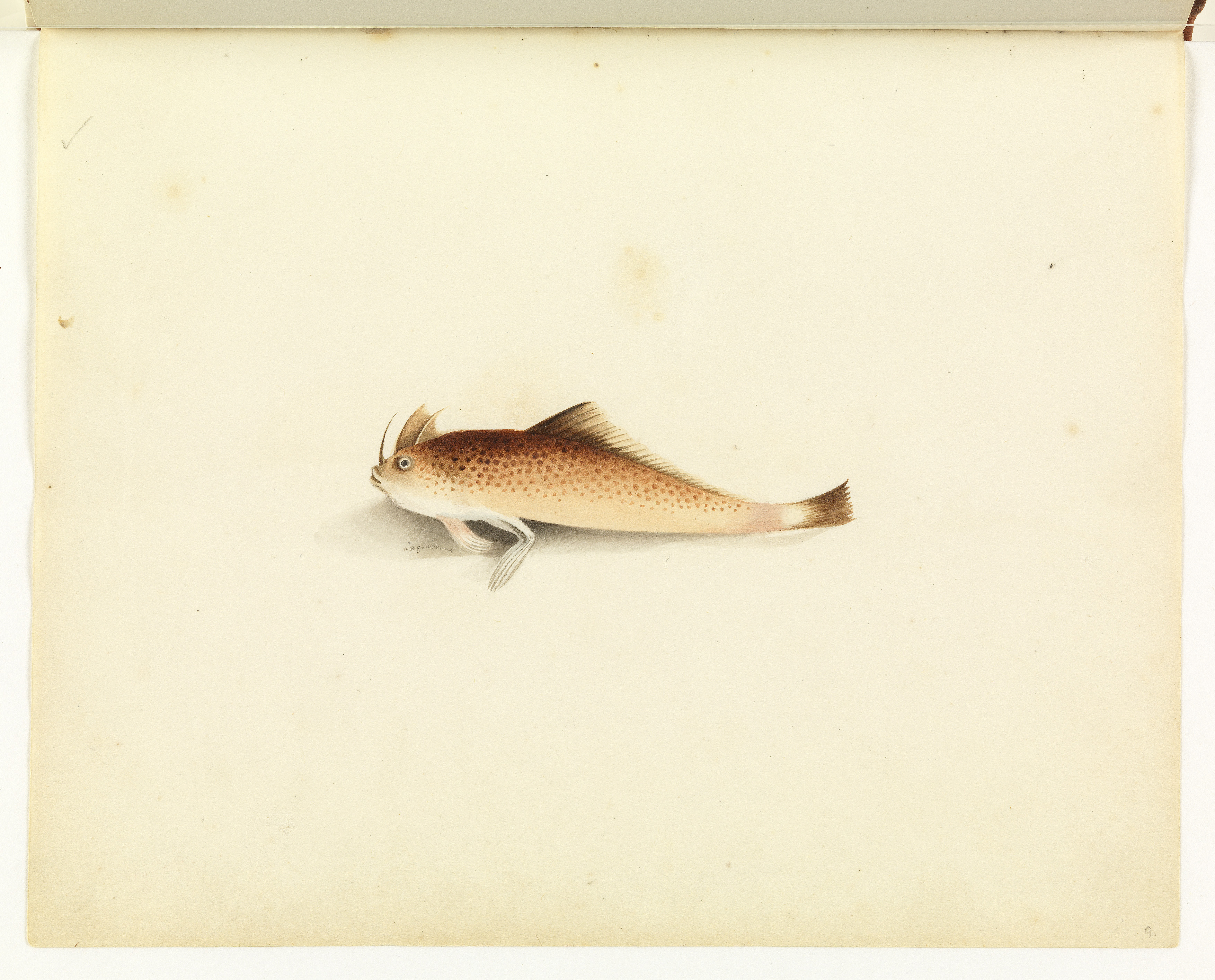 Why It Matters (Image Credits: Wikimedia)