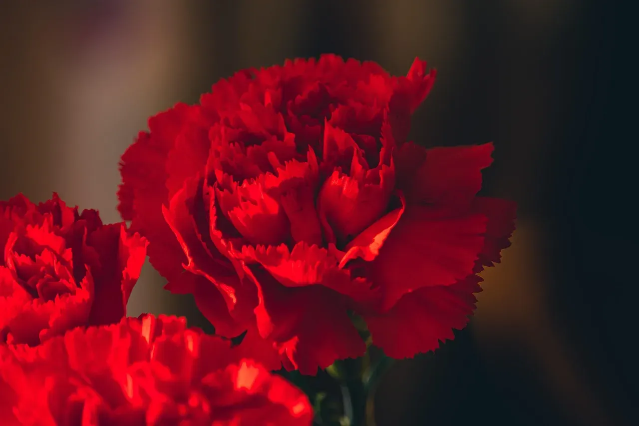 #12 - Quinacridone Red: The 1950s Color DuPont Spent Decades Perfecting (Image Credits: Pixabay)