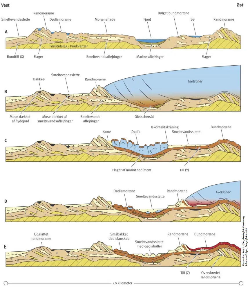 What You Can Do: From Awareness to Action (Image Credits: Wikimedia)