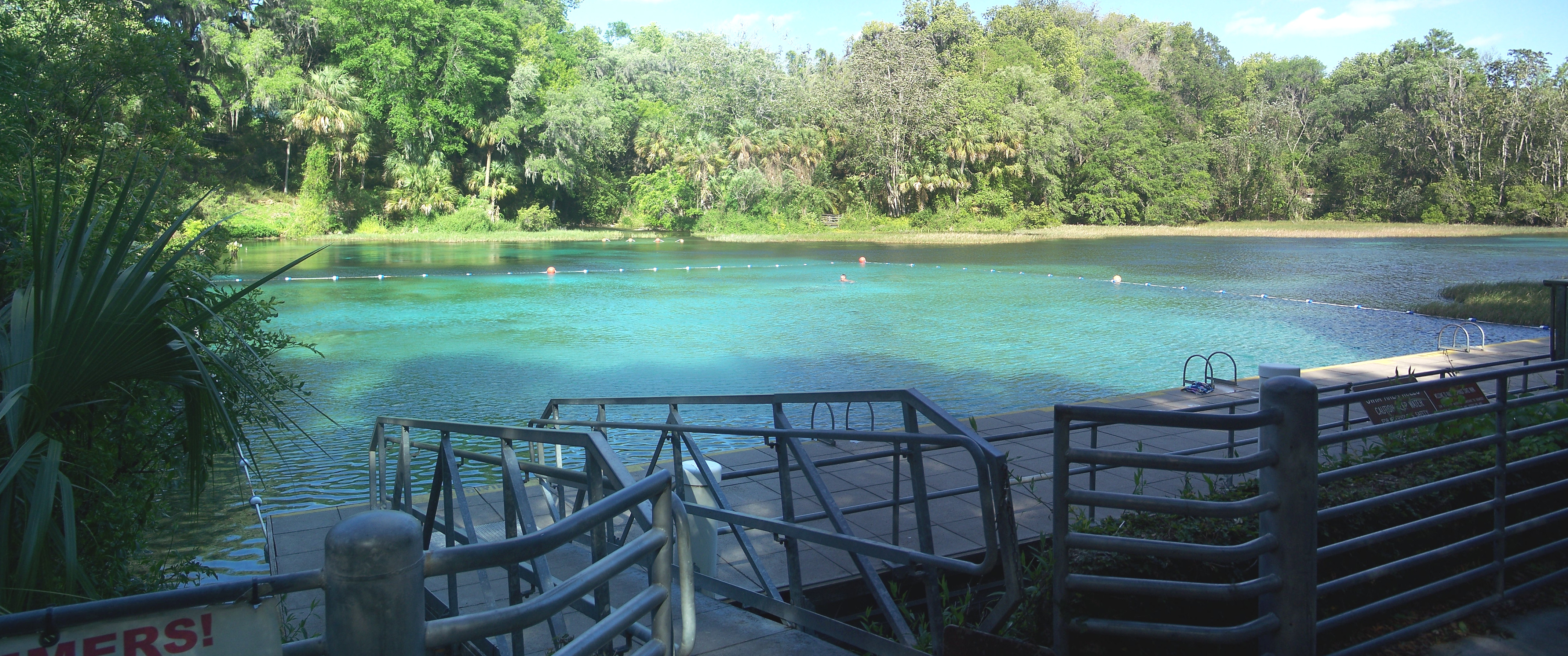 Rainbow Springs, Florida: Oligotrophic Light and the Algae Threshold (Image Credits: Wikimedia)
