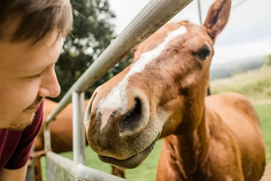 3. Curious and Interested: Choosing to Engage With You (Image Credits: Pexels)