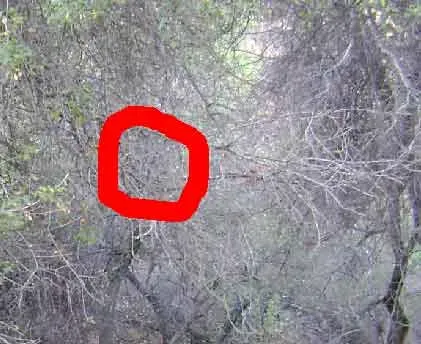 The Future Landscape: Intuition in the Age of Algorithms (Image Credits: Wikimedia)