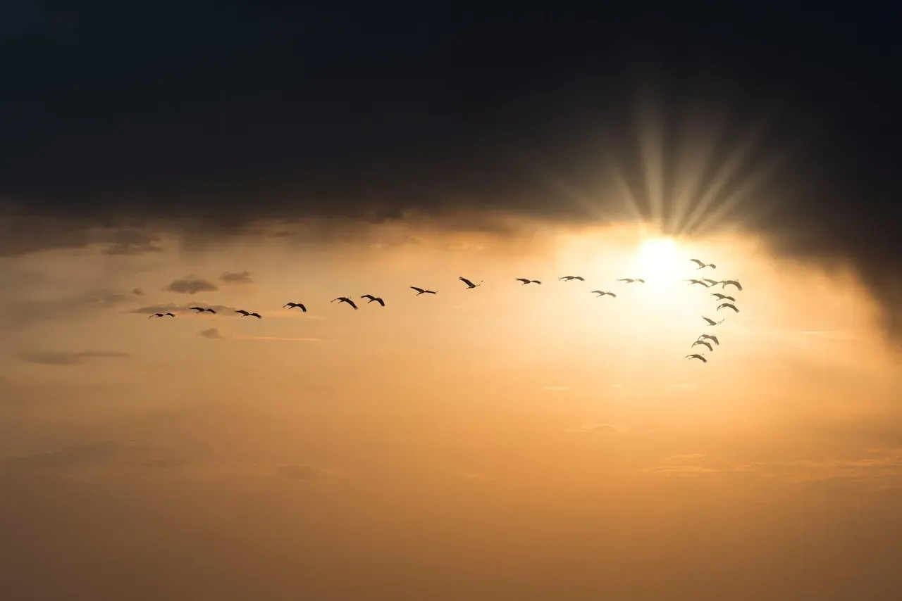 Star Maps, Sun Clocks, And A Sky Full Of Clues (Image Credits: Pixabay)