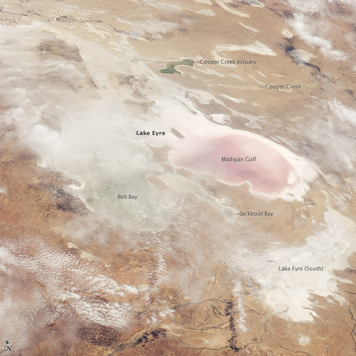 How You Can Get Involved (Image Credits: Wikimedia)