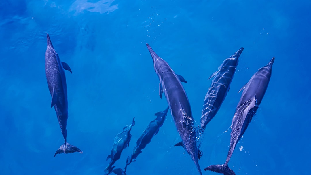 Global Perspectives (Image Credits: Unsplash)